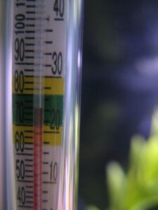 rasing water temperature rasing water temperature