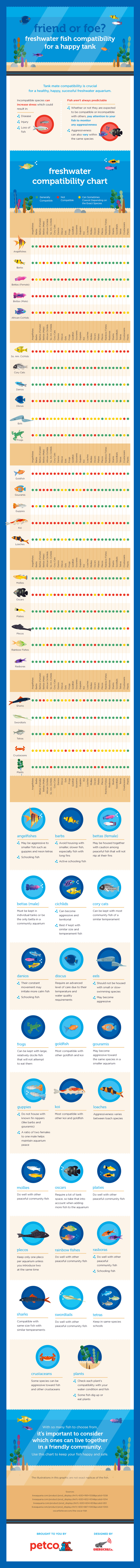 Angelfish Compatibility Chart